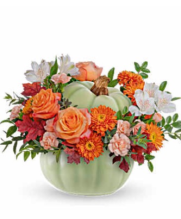 Whimsy Pumpkin Arrangement in Winnipeg, MB | Ann's Flowers & Gifts
