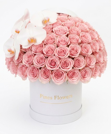 Whispering Rose 