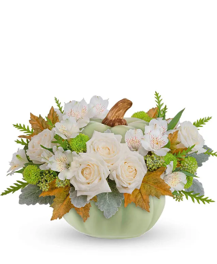 Whispy Sage Pumpkin  Fall Pumpkin