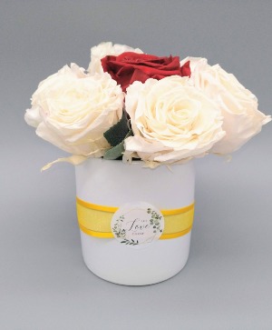 White and Red Preserved Roses 