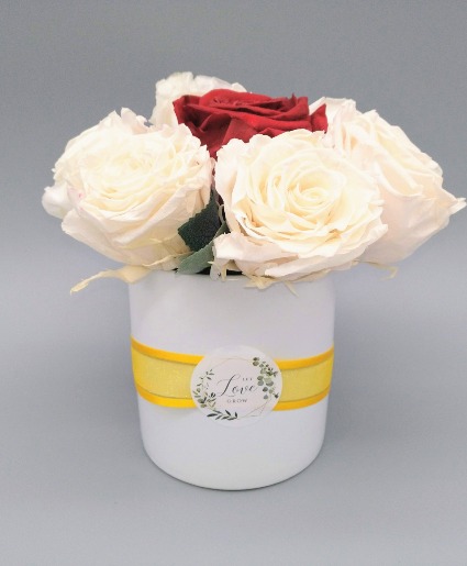 White and Red Preserved Roses 