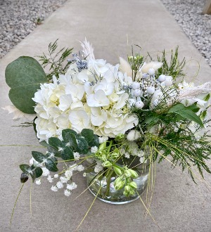 White and Silver Deams 