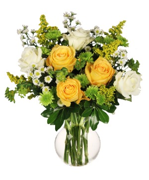 White and Yellow Roses  Arrangement