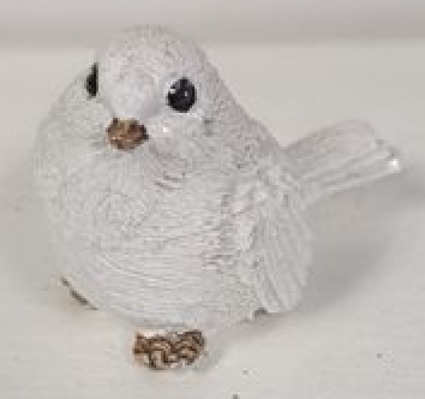 White Birds 