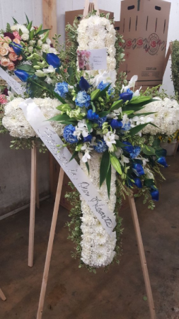 WHITE BLUE CROSS 