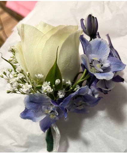 White & Blue Rose Bout