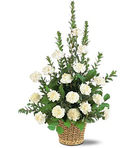 WHITE CARNATION BASKET 