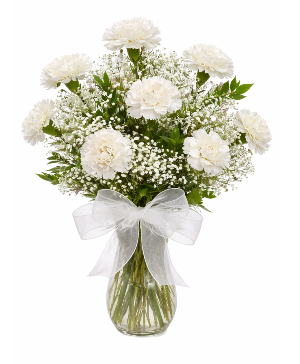 White Carnations 