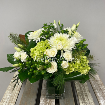 White Charm   in Etobicoke, ON | THE POTTY PLANTER FLORIST
