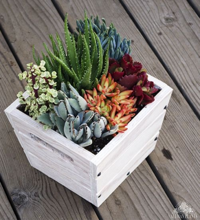 White Charm Box 