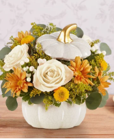 White Pumpkin fresh