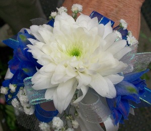 White Cushion Mum and Blue Delphinium Wristlet wristlet