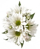 White Daisy Wrist Corsage FHF-401 ****Pick up only****