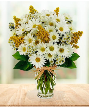 white daisys yellow solidago with white monte vased