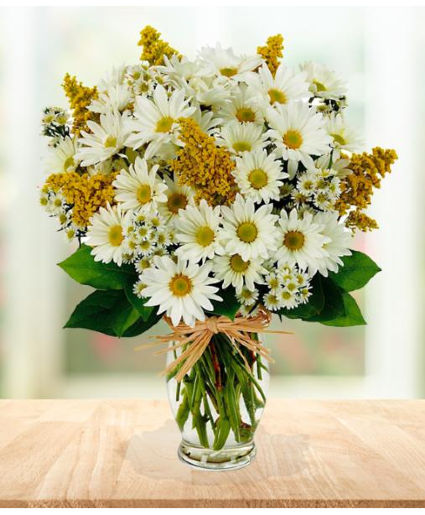 white daisys yellow solidago with white monte vased