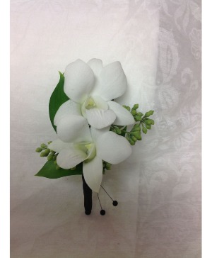 white dendrobium orchid  prom