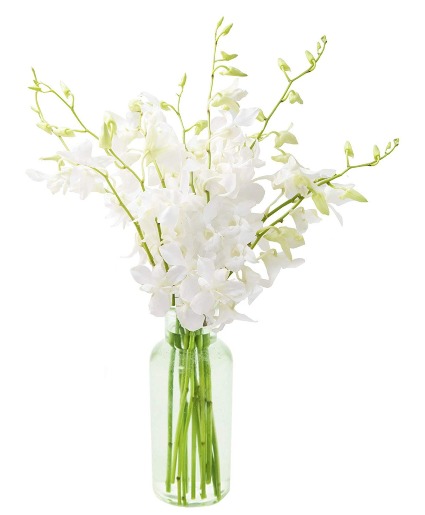 White Dendrobium Orchids With Vase vase