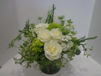 White Elegance Signature Design 