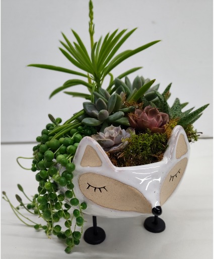 White Foxy Succulent Garden 