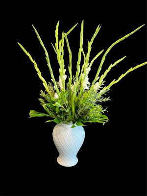 White Glads  