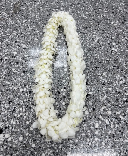 White Graduation Lei 