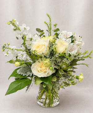 White Joy Every Day