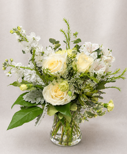 White Joy Every Day