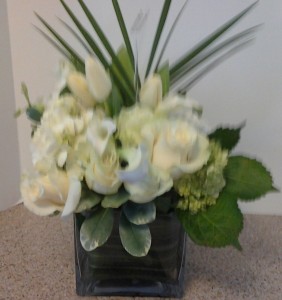  White joy low & Lush