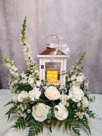 White Lantern Sympathy
