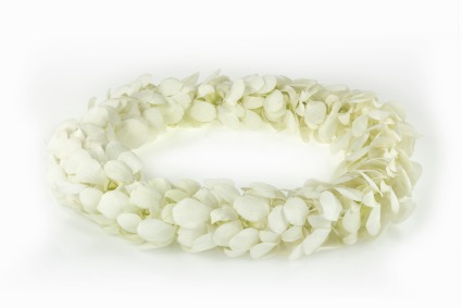 White Lei 