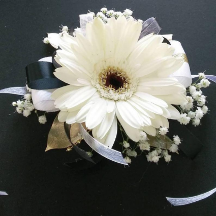 White Mini Gerbera Fresh Flower 