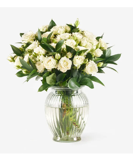 White Mini Roses Vase white spray roses filler flower will vary 