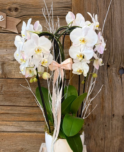  2 DOUBLE STEMS WHITE ORCHID 