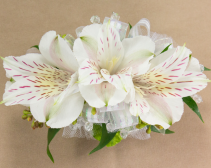 White Peruvian Lily Corsage