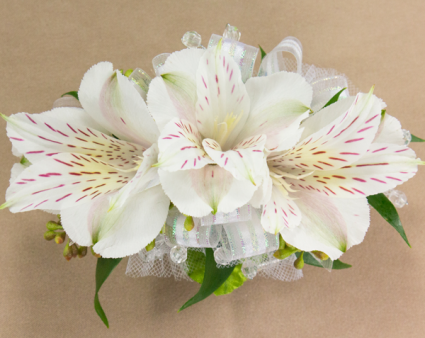 White Peruvian Lily Corsage