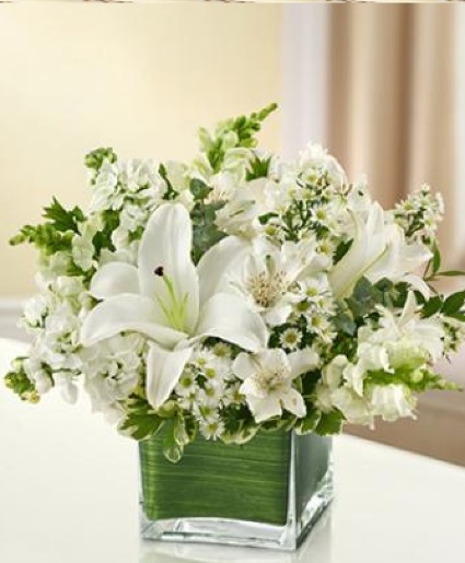 White Petals Cube Vase Arrangement