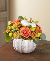 White Pumpkin 
