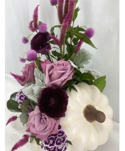 White Pumpkin in Lavender  