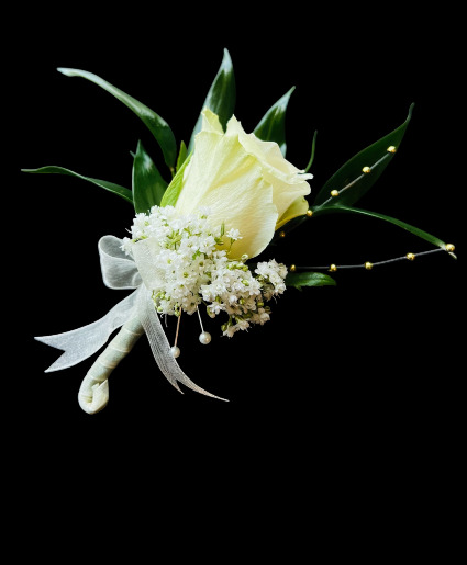WHITE ROSE  