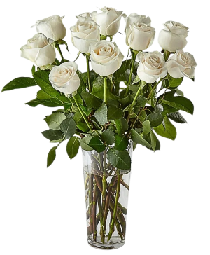 White Rose Bouquet Various