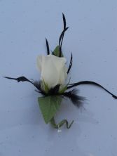 White Rose with Black Feathers  