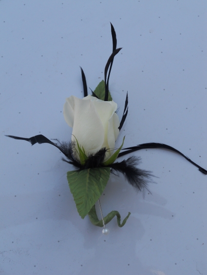 White Rose with Black Feathers  
