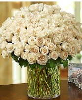 White Roses (100 Ct) 