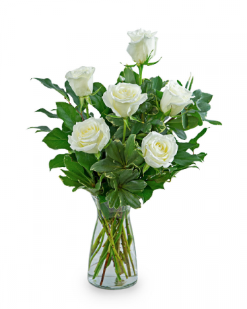 White Roses (6) Flower Arrangement