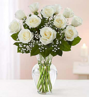 White roses 