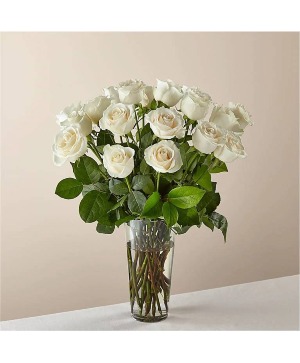 White Roses 