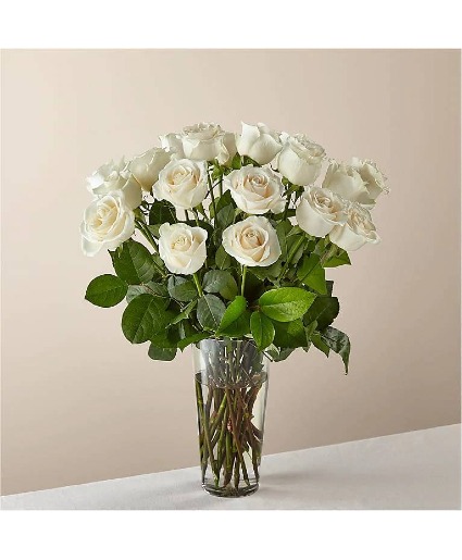 White Roses 