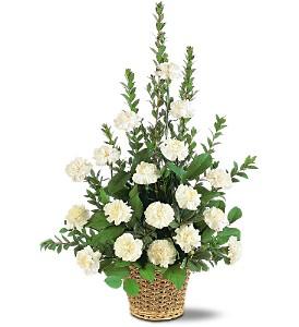 White Simplicity 