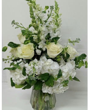 WHITE SIMPLICITY 