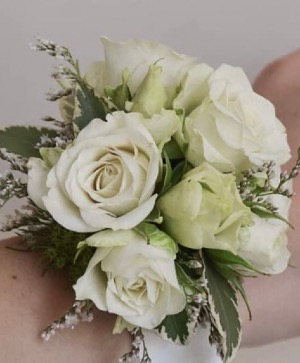 White Spray Rose 